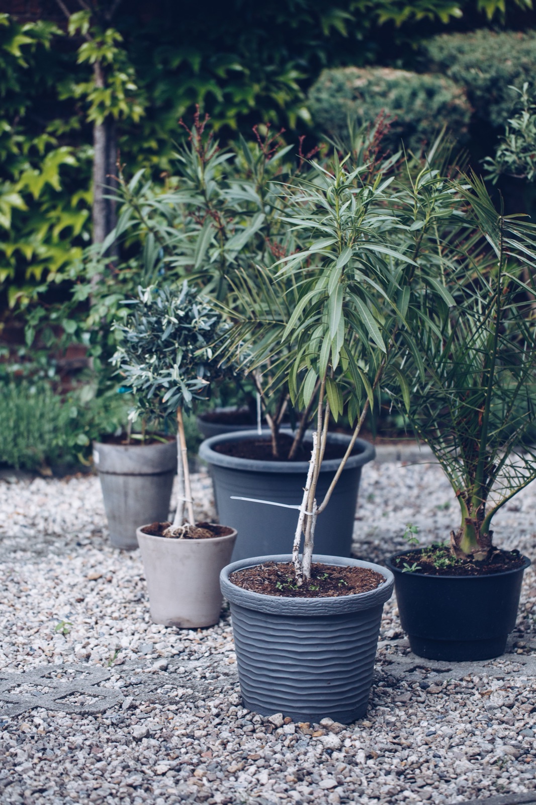 Example of a photo that does not work for a cinemagraph — too much going on